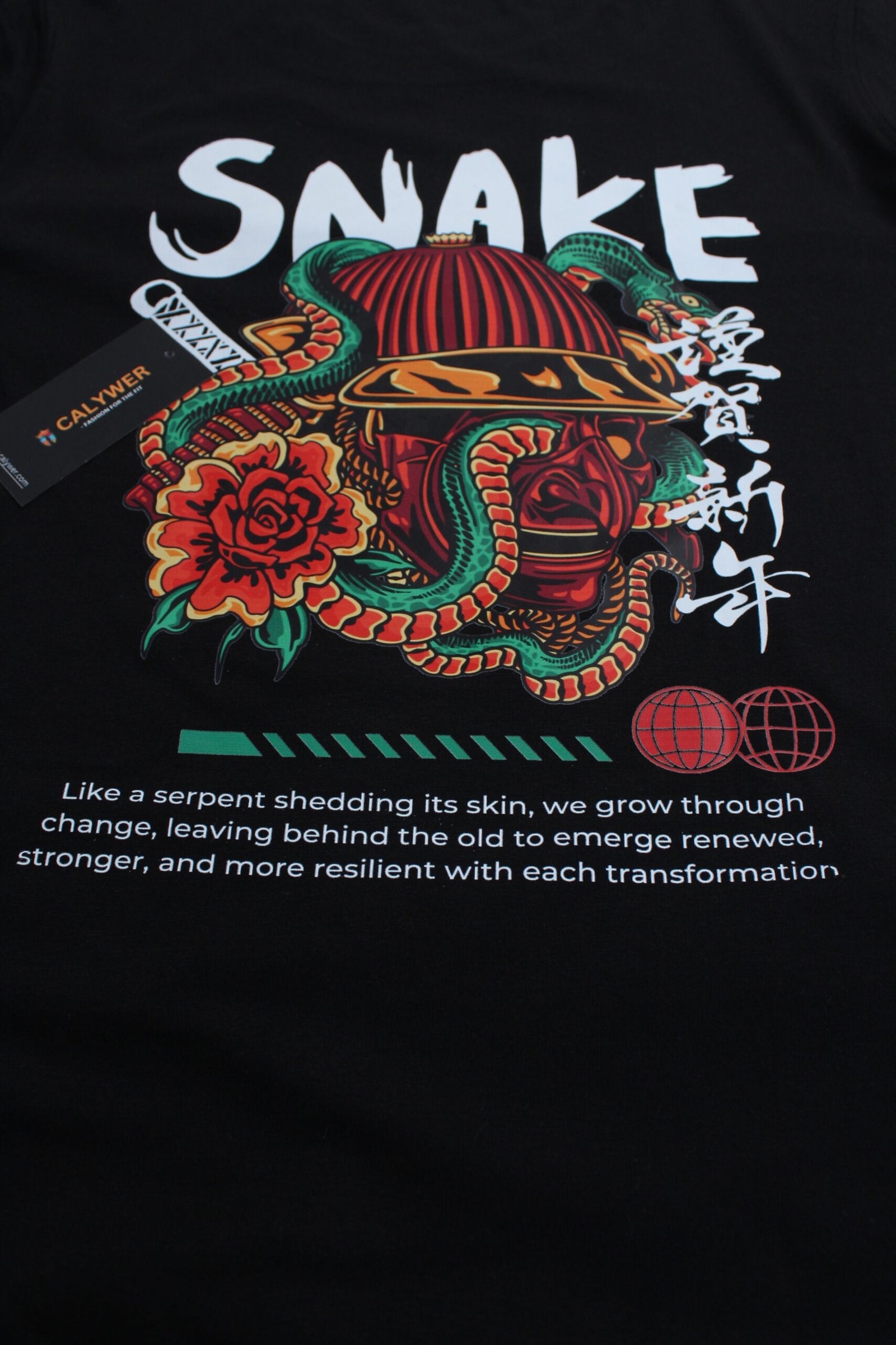 Men's Regular Slim Fit Black T-Shirt - Calywer